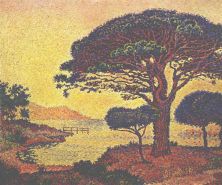 parasol pine 1898 (1000x832).jpg